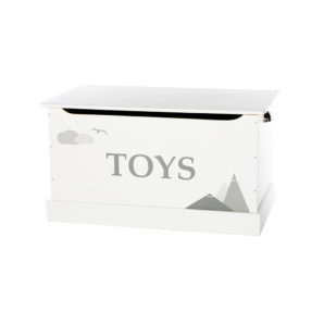 Toy Box – TOYS Graphic, Medium