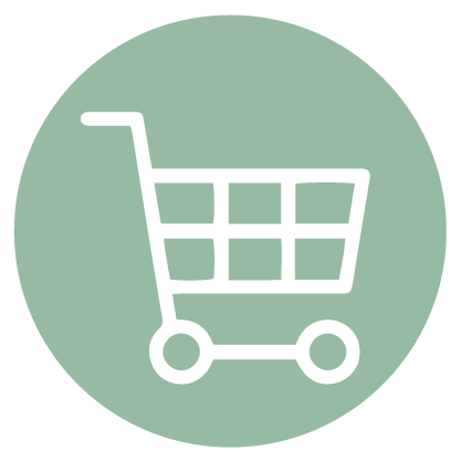 Lapp's Toys online shopping